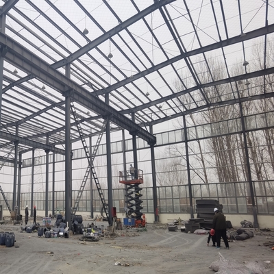 প্যাকেজিং কর্মশালার জন্য বড় ক্যানোপি সহ ইস্পাত কাঠামো গুদাম