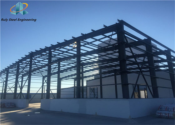 30000SQM প্রিফ্যাব কাস্টমাইজড ইস্পাত কাঠামো গুদাম কারখানা প্রস্তুতকারক কর্মশালা প্রিফ্যাব শিল্প ভবন