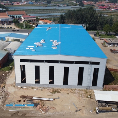 Prefabricated Steel Structure Workshop Q235B Q355B ৫০ বছরের জীবনকাল
