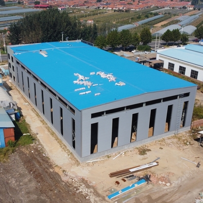 হালকা ইস্পাত কাঠামো গুদাম ভবন Q235B Q355B উপাদান