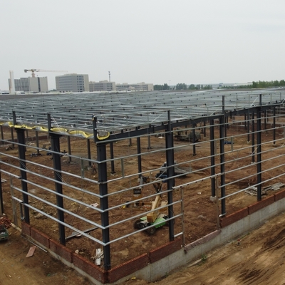 পোষা প্রাণীর খাদ্য প্রক্রিয়াকরণ কারখানার জন্য প্রিফ্যাব স্টিল স্ট্রাকচার গুদাম
