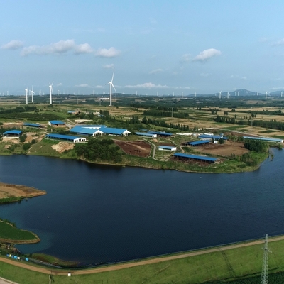 স্যান্ডউইচ প্যানেল সহ Q355B ইস্পাত কাঠামো গরুর শেড বিল্ডিং