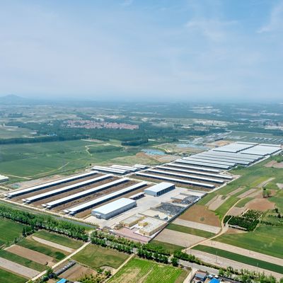 টেকসই সারফেস ট্রিটমেন্ট এবং দীর্ঘ পরিষেবা জীবন সহ প্রিফ্যাব ইস্পাত কাঠামো মডুলার গরুর খামার শেড ইস্পাত বিল্ডিং