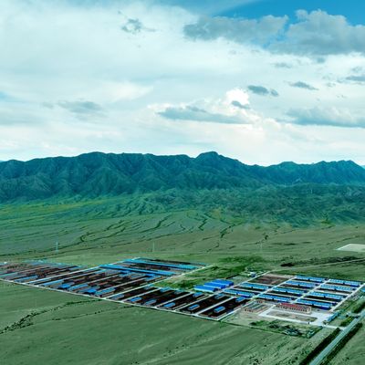 টেকসই সারফেস ট্রিটমেন্ট এবং দীর্ঘ পরিষেবা জীবন সহ প্রিফ্যাব ইস্পাত কাঠামো মডুলার গরুর খামার শেড ইস্পাত বিল্ডিং