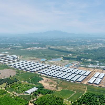 ডিজাইন সরবরাহ আধুনিক ইস্পাত কাঠামো দুগ্ধ খামার শেল ধাতু গবাদি পশু শেল বায়ুচলাচল সিস্টেমের সাথে