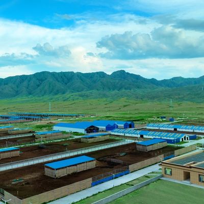 দুগ্ধ গরুর জন্য গ্যালভানাইজড স্টিলের গোয়ালঘর, ২০+ বছর জীবনকাল