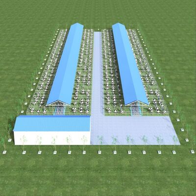 ডিজাইন সরবরাহ আধুনিক ইস্পাত কাঠামো দুগ্ধ খামার শেল ধাতু গবাদি পশু শেল বায়ুচলাচল সিস্টেমের সাথে